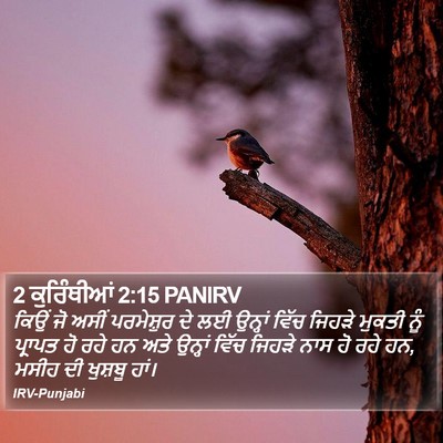 2 ਕੁਰਿੰਥੀਆਂ 2:15 PANIRV Bible Verse Image