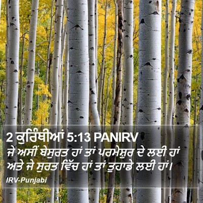 2 ਕੁਰਿੰਥੀਆਂ 5:13 PANIRV Bible Verse Image