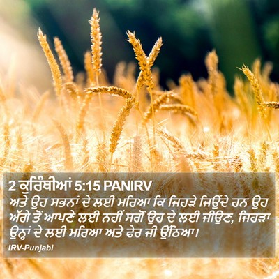 2 ਕੁਰਿੰਥੀਆਂ 5:15 PANIRV Bible Verse Image