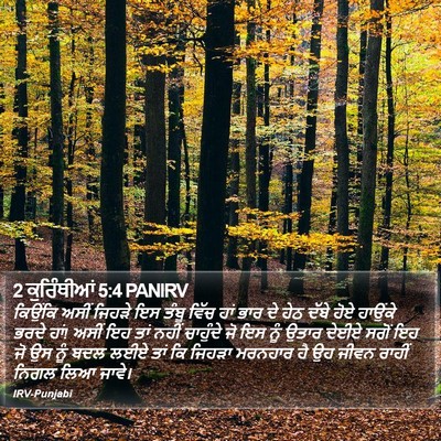 2 ਕੁਰਿੰਥੀਆਂ 5:4 PANIRV Bible Verse Image