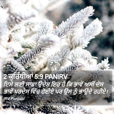2 ਕੁਰਿੰਥੀਆਂ 5:9 PANIRV Bible Verse Image