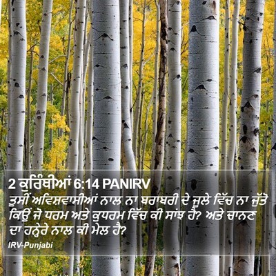 2 ਕੁਰਿੰਥੀਆਂ 6:14 PANIRV Bible Verse Image
