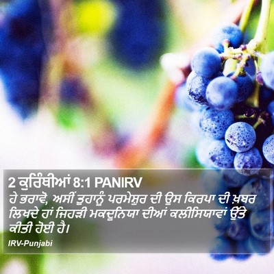 2 ਕੁਰਿੰਥੀਆਂ 8:1 PANIRV Bible Verse Image