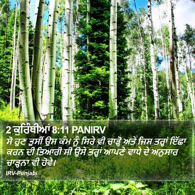2 ਕੁਰਿੰਥੀਆਂ 8:11 PANIRV Bible Verse Image