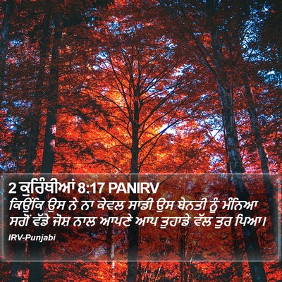 2 ਕੁਰਿੰਥੀਆਂ 8:17 PANIRV Bible Verse Image