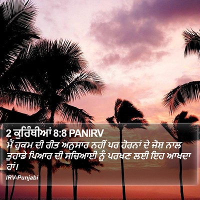 2 ਕੁਰਿੰਥੀਆਂ 8:8 PANIRV Bible Verse Image
