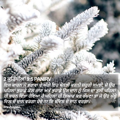 2 ਕੁਰਿੰਥੀਆਂ 9:5 PANIRV Bible Verse Image