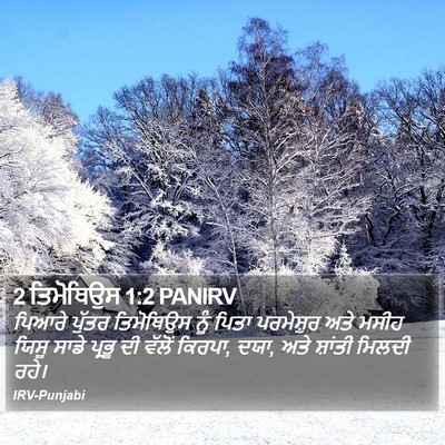 2 ਤਿਮੋਥਿਉਸ 1:2 PANIRV Bible Verse Image