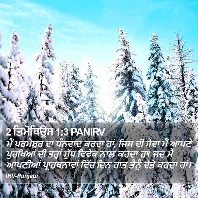 2 ਤਿਮੋਥਿਉਸ 1:3 PANIRV Bible Verse Image
