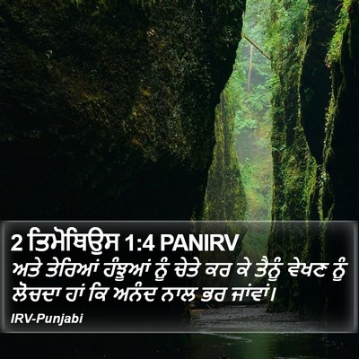 2 ਤਿਮੋਥਿਉਸ 1:4 PANIRV Bible Verse Image