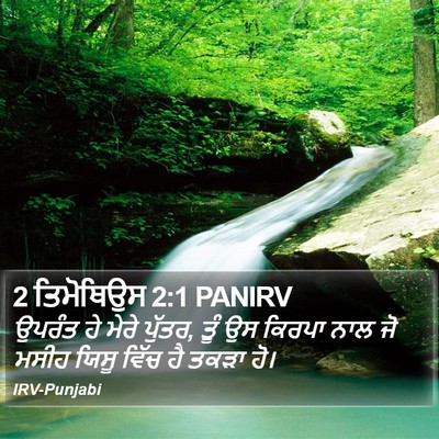 2 ਤਿਮੋਥਿਉਸ 2:1 PANIRV Bible Verse Image