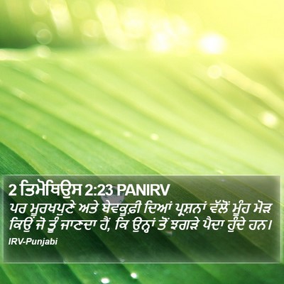 2 ਤਿਮੋਥਿਉਸ 2:23 PANIRV Bible Verse Image