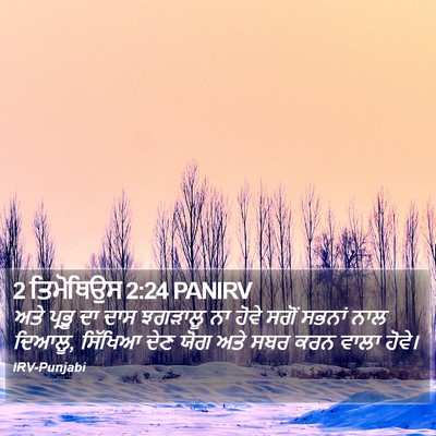 2 ਤਿਮੋਥਿਉਸ 2:24 PANIRV Bible Verse Image