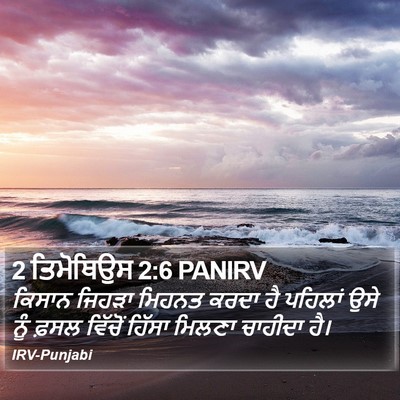 2 ਤਿਮੋਥਿਉਸ 2:6 PANIRV Bible Verse Image