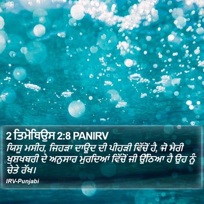 2 ਤਿਮੋਥਿਉਸ 2:8 PANIRV Bible Verse Image