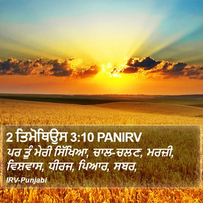 2 ਤਿਮੋਥਿਉਸ 3:10 PANIRV Bible Verse Image