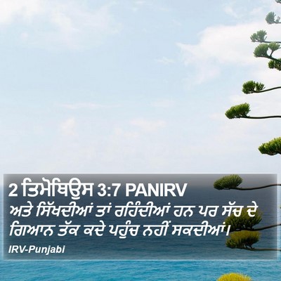 2 ਤਿਮੋਥਿਉਸ 3:7 PANIRV Bible Verse Image