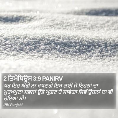 2 ਤਿਮੋਥਿਉਸ 3:9 PANIRV Bible Verse Image