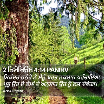2 ਤਿਮੋਥਿਉਸ 4:14 PANIRV Bible Verse Image
