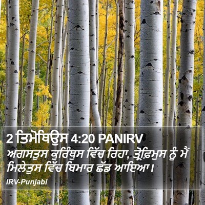 2 ਤਿਮੋਥਿਉਸ 4:20 PANIRV Bible Verse Image