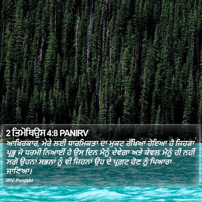 2 ਤਿਮੋਥਿਉਸ 4:8 PANIRV Bible Verse Image