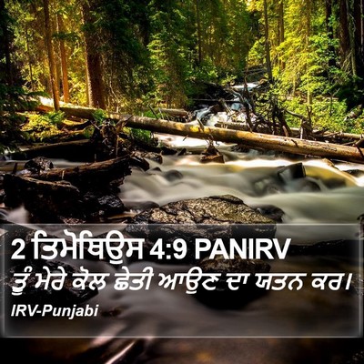 2 ਤਿਮੋਥਿਉਸ 4:9 PANIRV Bible Verse Image