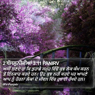 2 ਥੱਸਲੁਨੀਕੀਆਂ 3:11 PANIRV Bible Verse Image