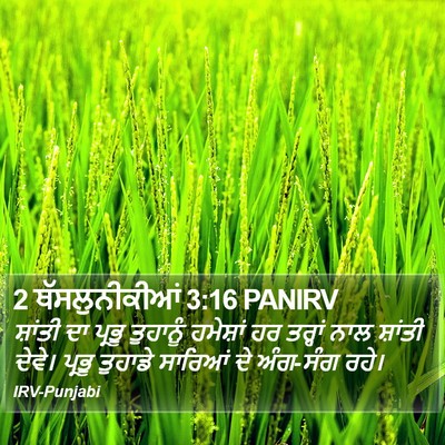 2 ਥੱਸਲੁਨੀਕੀਆਂ 3:16 PANIRV Bible Verse Image