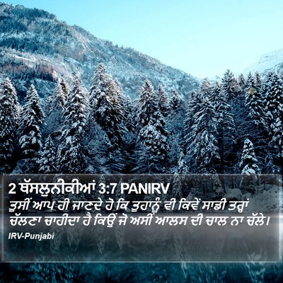 2 ਥੱਸਲੁਨੀਕੀਆਂ 3:7 PANIRV Bible Verse Image