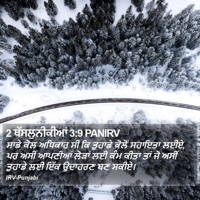 2 ਥੱਸਲੁਨੀਕੀਆਂ 3:9 PANIRV Bible Verse Image