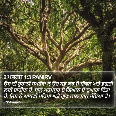 2 ਪਤਰਸ 1:3 PANIRV Bible Verse Image