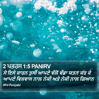 2 ਪਤਰਸ 1:5 PANIRV Bible Verse Image