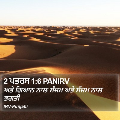 2 ਪਤਰਸ 1:6 PANIRV Bible Verse Image