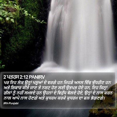 2 ਪਤਰਸ 2:12 PANIRV Bible Verse Image
