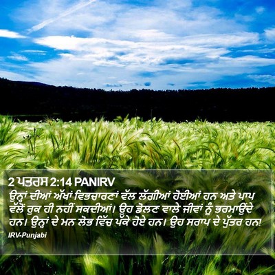 2 ਪਤਰਸ 2:14 PANIRV Bible Verse Image