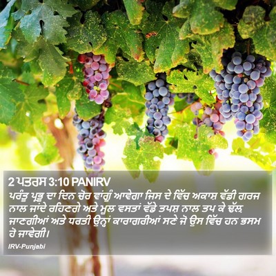 2 ਪਤਰਸ 3:10 PANIRV Bible Verse Image