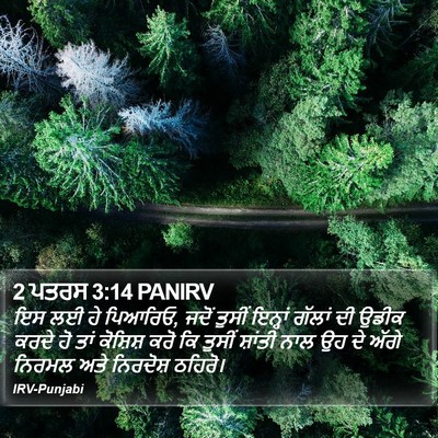2 ਪਤਰਸ 3:14 PANIRV Bible Verse Image