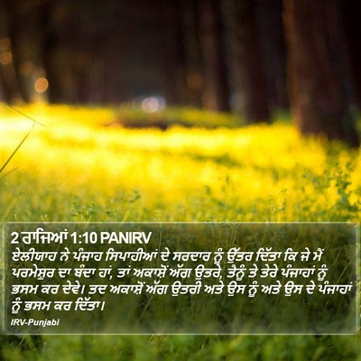2 ਰਾਜਿਆਂ 1:10 PANIRV Bible Verse Image