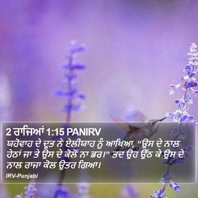2 ਰਾਜਿਆਂ 1:15 PANIRV Bible Verse Image
