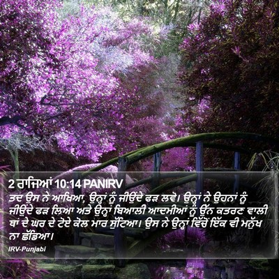 2 ਰਾਜਿਆਂ 10:14 PANIRV Bible Verse Image