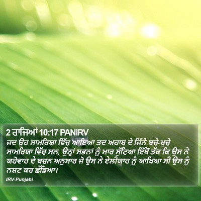 2 ਰਾਜਿਆਂ 10:17 PANIRV Bible Verse Image