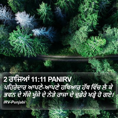 2 ਰਾਜਿਆਂ 11:11 PANIRV Bible Verse Image