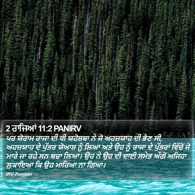 2 ਰਾਜਿਆਂ 11:2 PANIRV Bible Verse Image