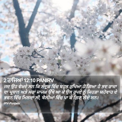 2 ਰਾਜਿਆਂ 12:10 PANIRV Bible Verse Image