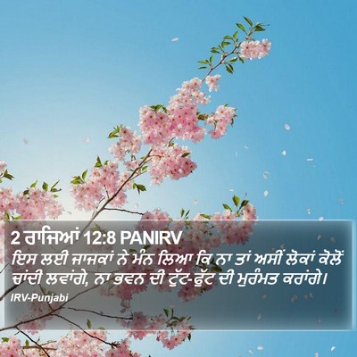 2 ਰਾਜਿਆਂ 12:8 PANIRV Bible Verse Image
