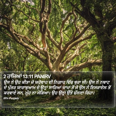2 ਰਾਜਿਆਂ 13:11 PANIRV Bible Verse Image