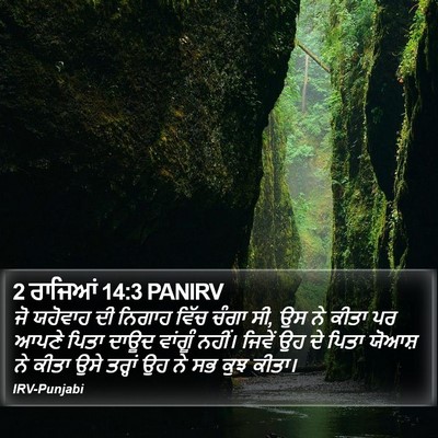 2 ਰਾਜਿਆਂ 14:3 PANIRV Bible Verse Image