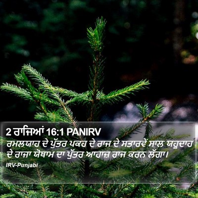 2 ਰਾਜਿਆਂ 16:1 PANIRV Bible Verse Image