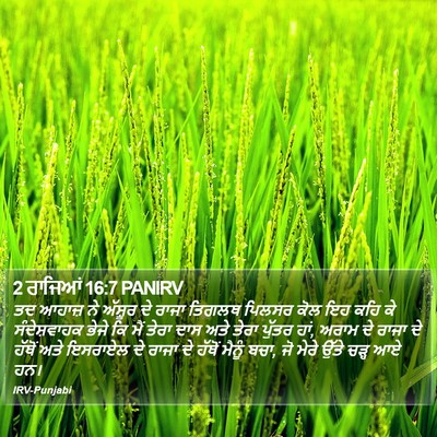 2 ਰਾਜਿਆਂ 16:7 PANIRV Bible Verse Image