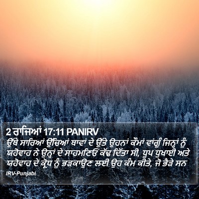 2 ਰਾਜਿਆਂ 17:11 PANIRV Bible Verse Image